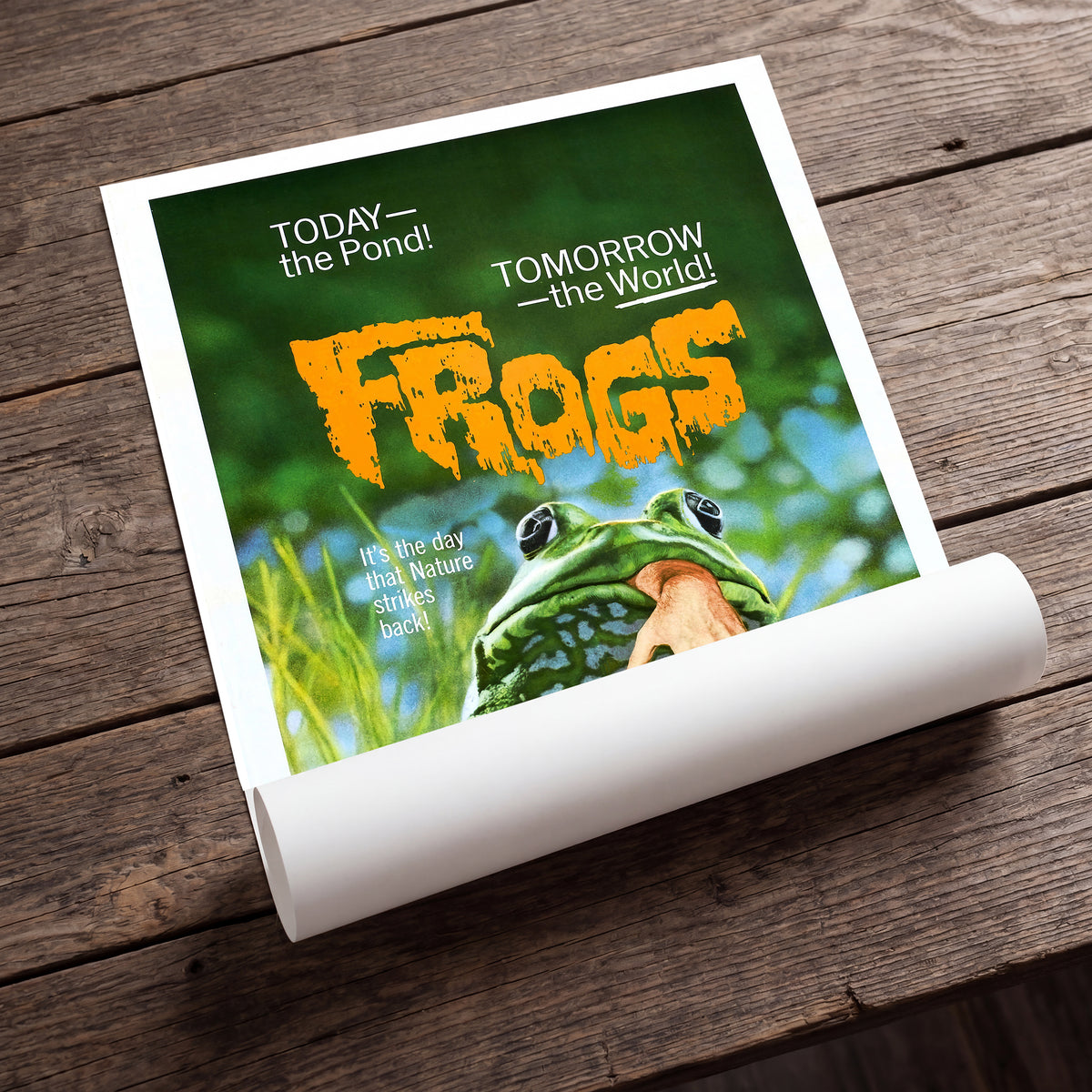 Frogs